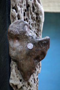 Chelsea Flower Show 2018-82