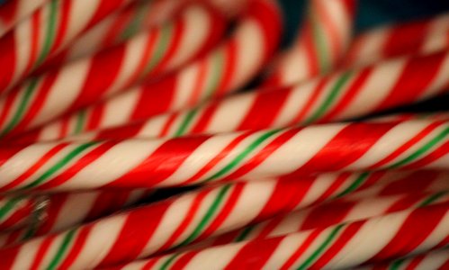 #365 CandyCanes photo