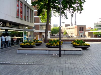 DSC00776