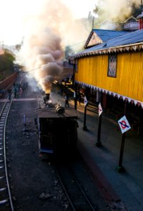 Darjeeling Stories