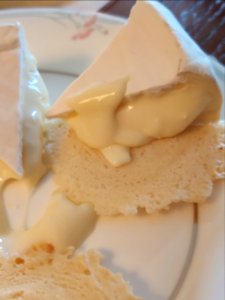 comox camembert