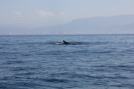 IMG 8553