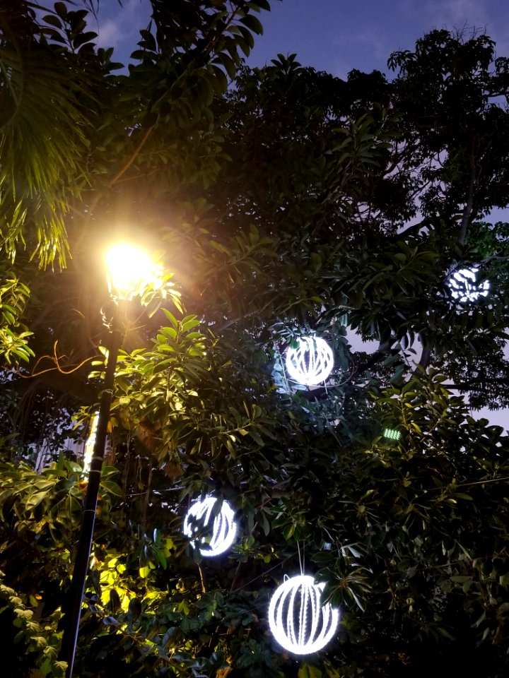 Day 26 Las luces