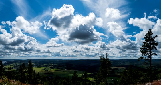 Panorama view from Tosseberg, Torsby, Sweden photo