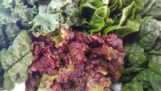 Day 154 greens from the farm