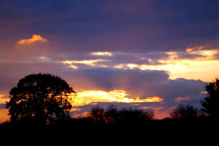  DSC4710