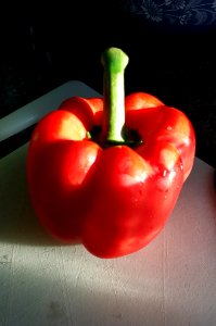 Day 186 red pepper