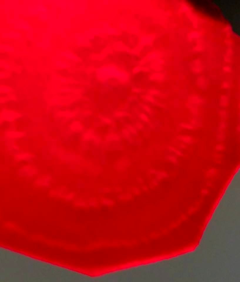 #365 Beet Slice
