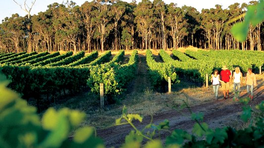 winery margaret river 1