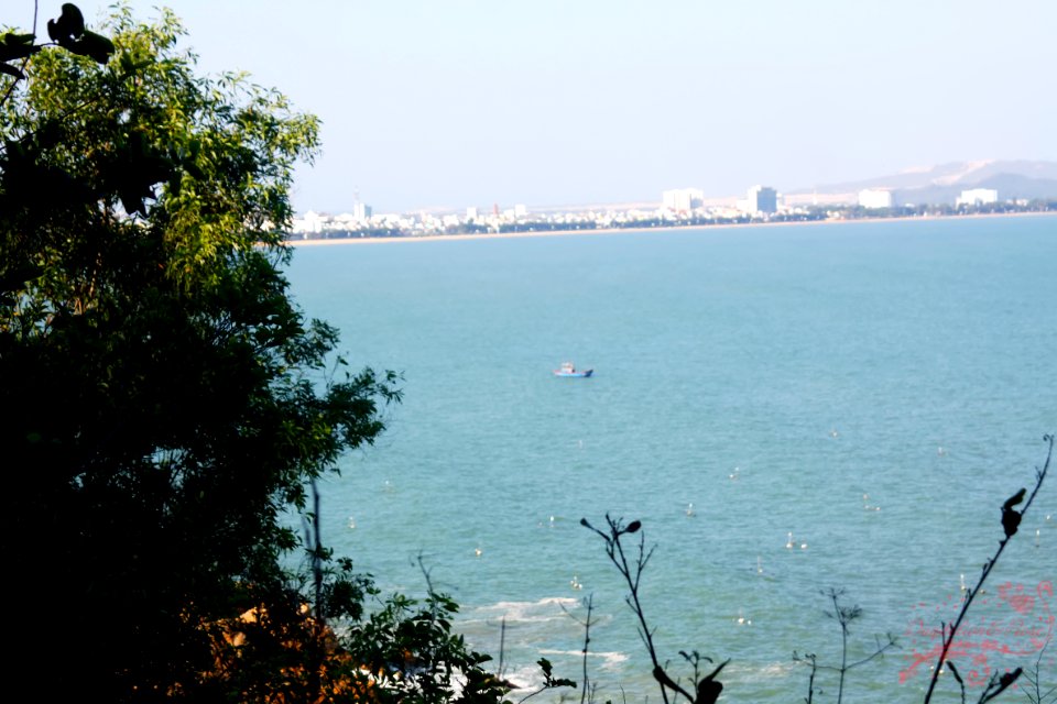 Quy Nhơn - Bình Định -Việt Nam
