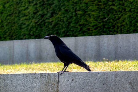 Kiel Juni 2018091