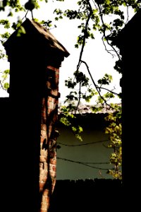  DSC1079