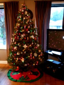 Day 340 tree is up