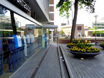 DSC00778