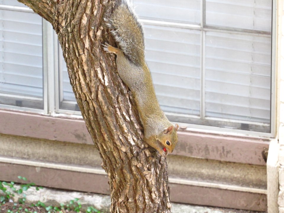 Stretching Out