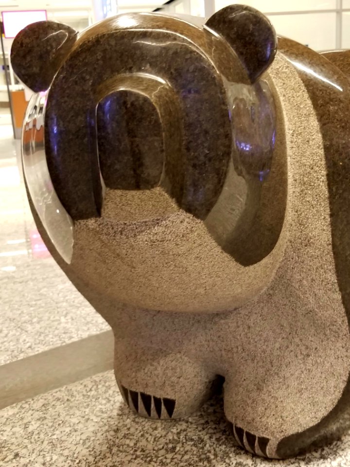 Day 016 Calgary airport bear.