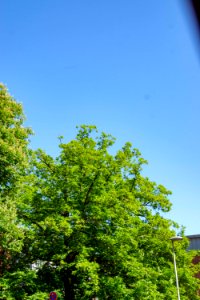Kiel 24Mai20150012