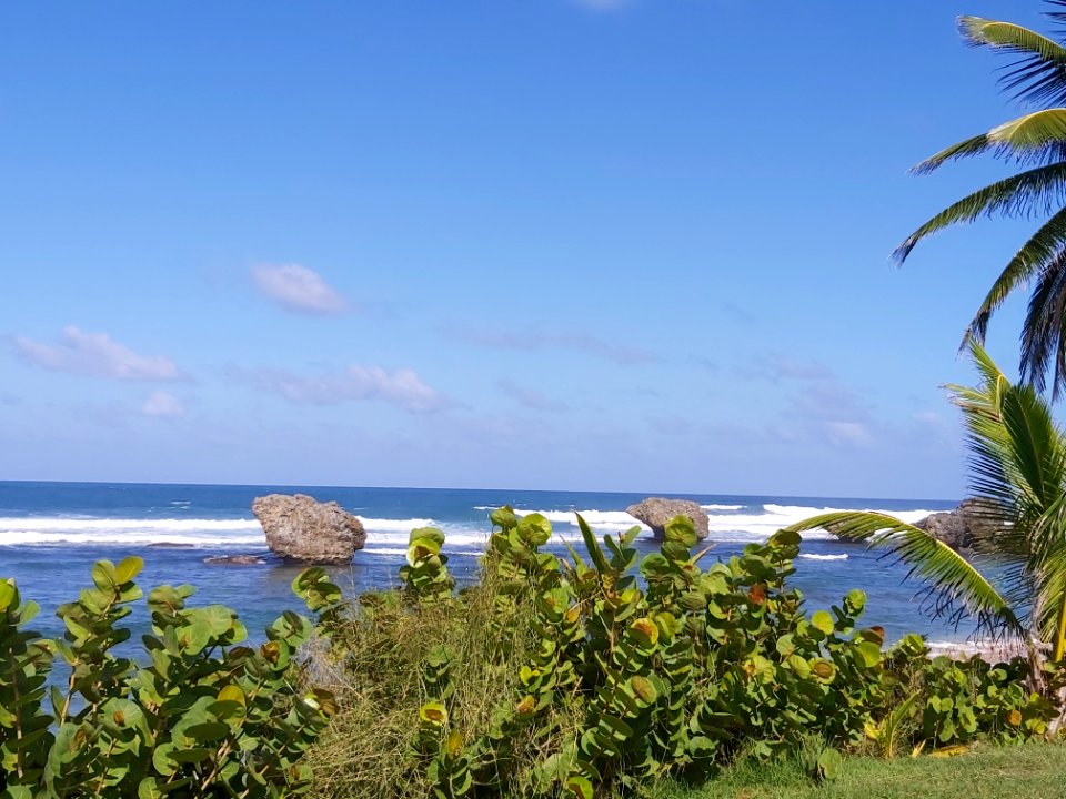 Barbados