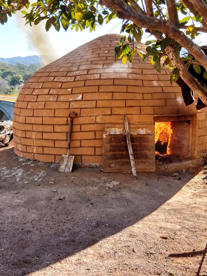 baking agave for tequila