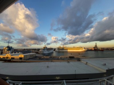 Celebrity Reflection