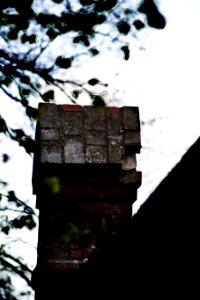  DSC1142