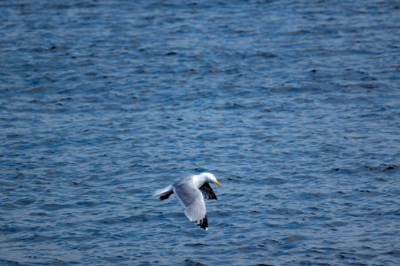 Kiel Juni 2018278