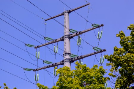 Electric pylon in green foliage