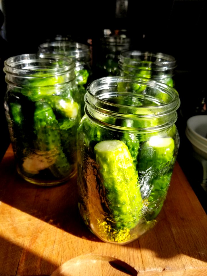 Day 222 making dill pickles