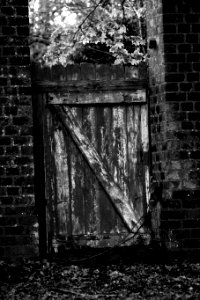  DSC1216