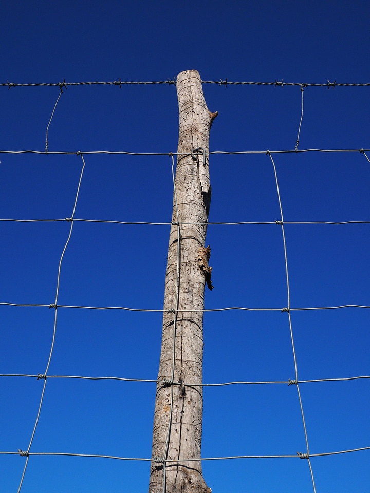 Wildzaun wildlife fence mesh