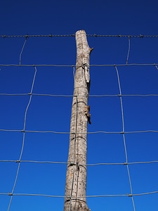Wildzaun wildlife fence mesh