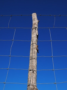 Wildzaun wildlife fence mesh photo