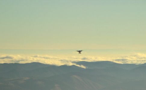 Curious drone