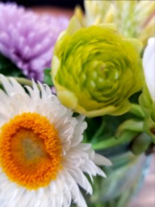 Flowers in the coffee shop