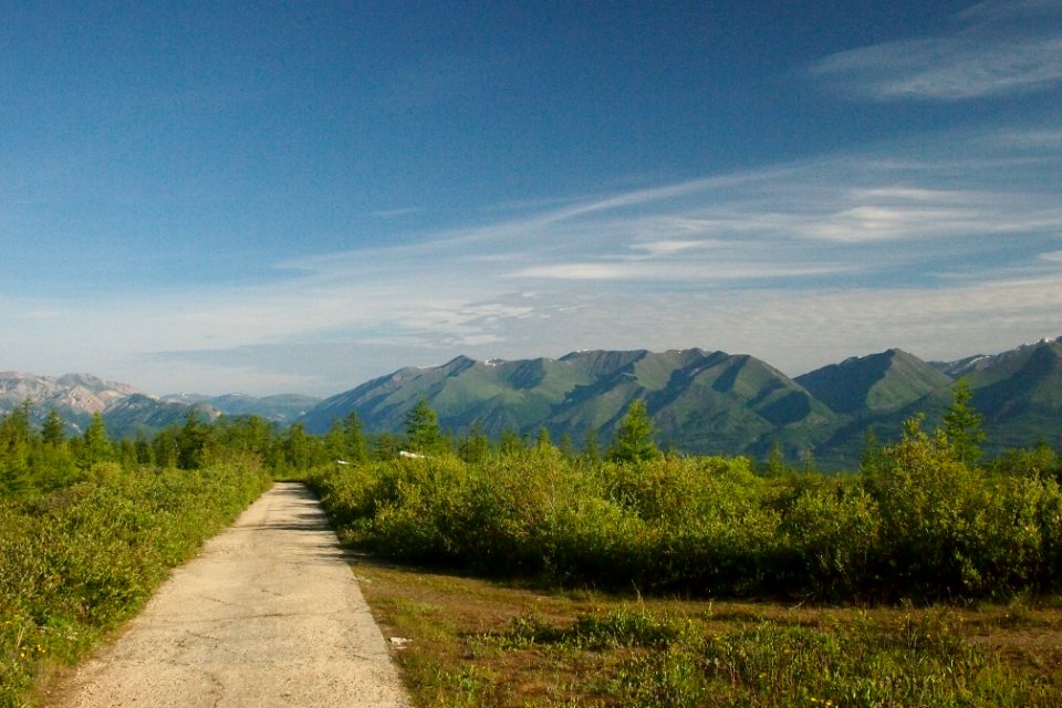 P7194914