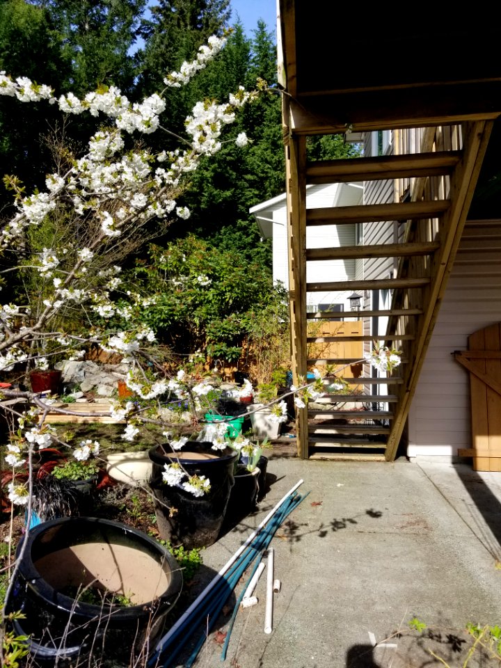 Deck remodel