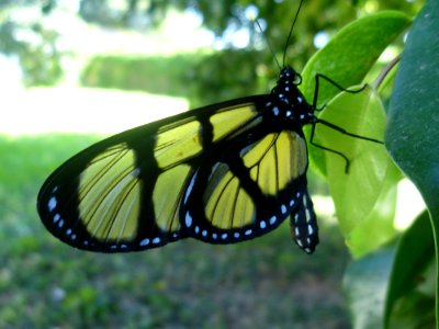 P1000430
