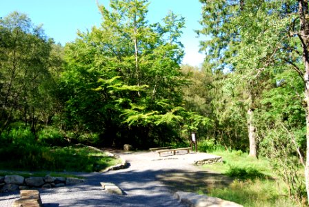 DSC 0619