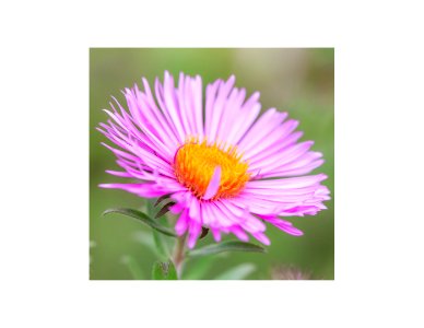 2 (Large)