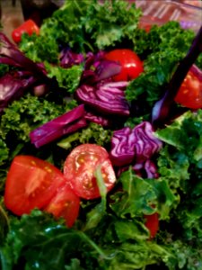 Day 102 such a pretty salad