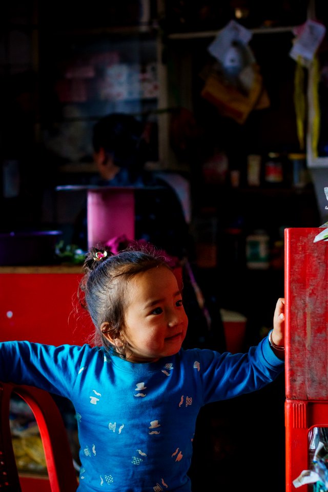 Darjeeling Stories