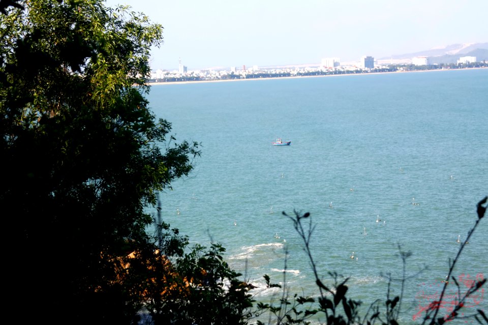Quy Nhơn - Bình Định -Việt Nam