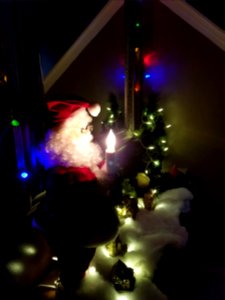 Day 353 entrance for Christmas