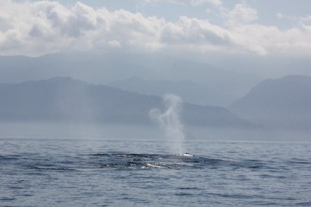 IMG 8575