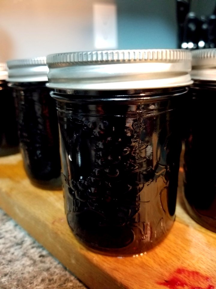 Day 237 BlackBerry jelly and BlackBerry syrup