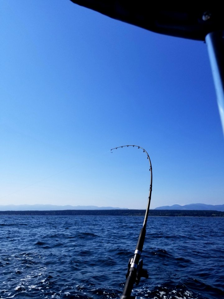 Day 226 Obligatory rod shot. First time out this year.
