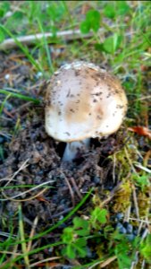 Day 142 emerging