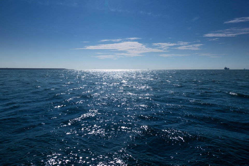 Lost at Sea, on board Lifeboat J.Parqui of Hoek van Holland