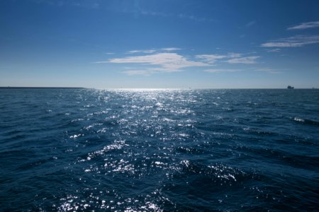 Lost at Sea, on board Lifeboat J.Parqui of Hoek van Holland