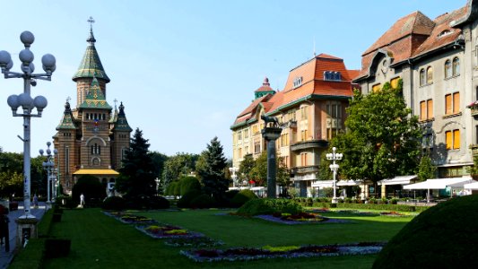 Timisoara : Piata Victoriei, Catedrala Mitropolitana si Lupoaica cu puii